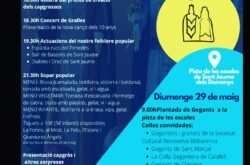 10è aniversari dels Gegants i gralles