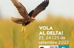 VOLA AL DELTA!