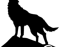 XVIII MARXA DEL LLOP