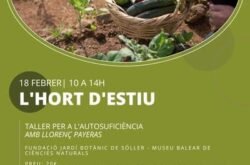L’HORT D’ESTIU