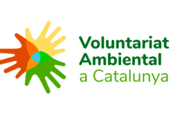 Voluntariat ambiental