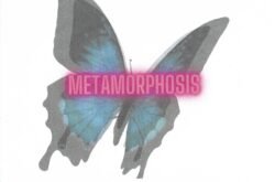 MetamorPhosis